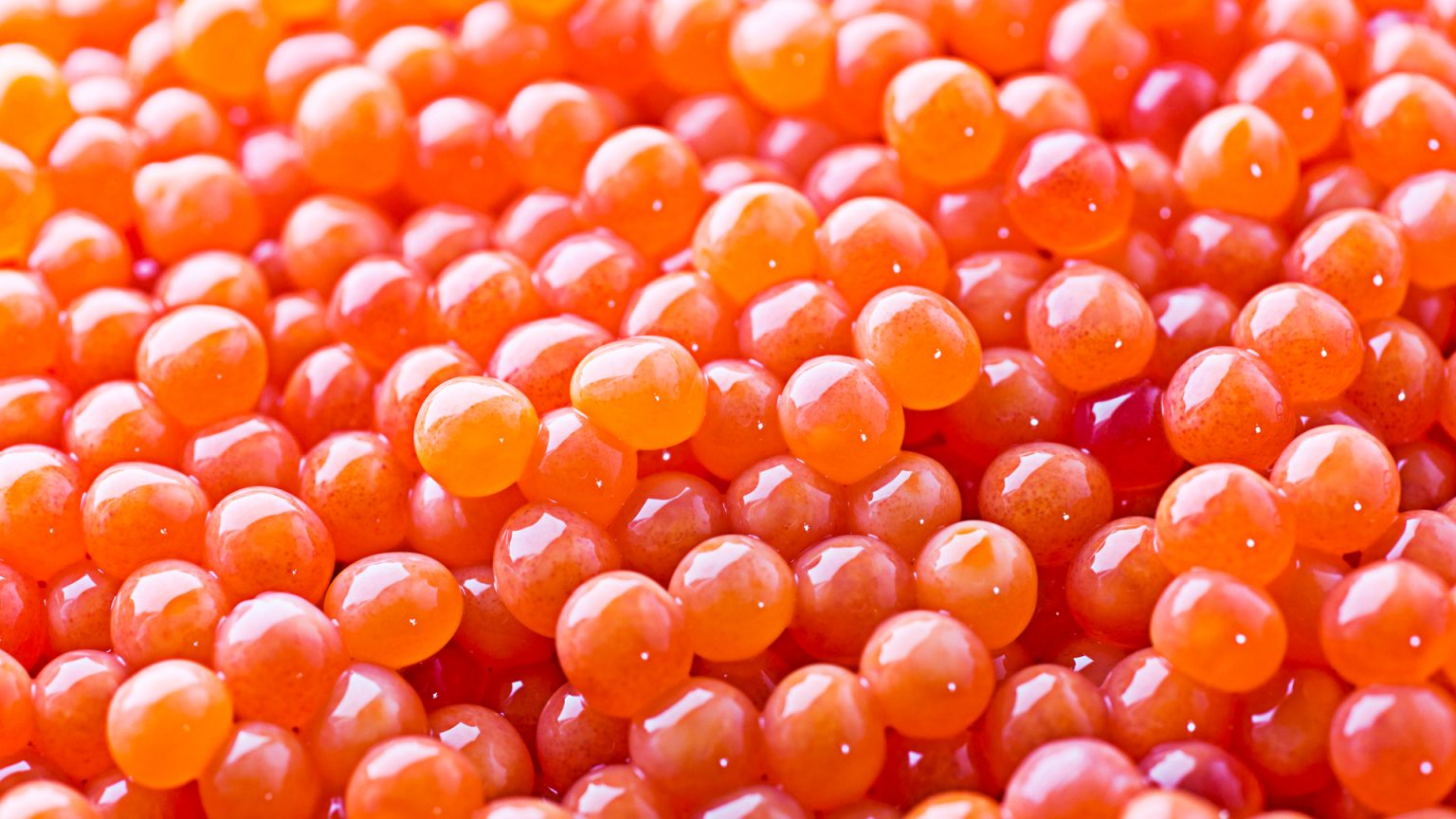 30m allocated to a new salmon hatchery and nursery in Canada