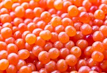 $30m allocated to a new salmon hatchery and nursery in Canada salmon hatchery