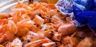 shells of crustaceans