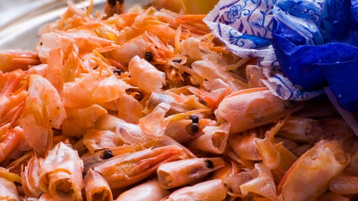 shells of crustaceans