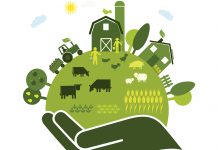 Farm to fork to be incorporated into the European sustainable food system sustainable food system