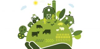 sustainable food system