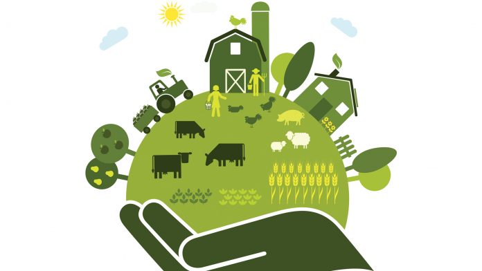 sustainable food system