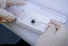 Researchers develop precise temperature sensor using MXene temperature sensor