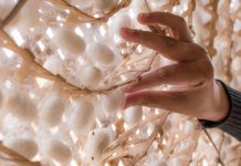 Researchers use silk to improve 3D printed hydrogels for tissue regrowth tissue regrowth