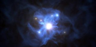 web around a supermassive black hole