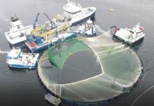 Innovation in sustainable aquaculture sustainable aquaculture