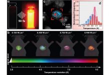 Nanoparticle-based 2D thermal bioimaging technologies thermal bioimaging