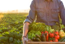 EIT launches search for agrifood entrepreneurs to help transform the world food system agrifood