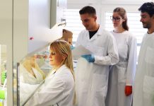 Signal molecule Interleukin-32 and the future of cancer immunotherapy Interleukin-32