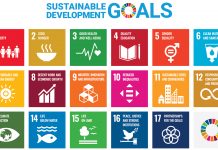 Making the Sustainable Development Goals a reality sustainable development goals