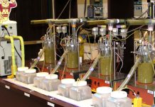 The role of the rumen microbiome in the digestion of dairy cows rumen microbiome