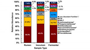 rumen microbiome