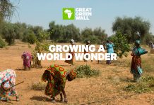 The Great Green Wall: Protecting Sahel through science-led intervention The Great Green Wall: Protecting Sahel through science-led intervention