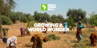 The Great Green Wall: Protecting Sahel through science-led intervention