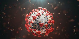 evolution of SARS-CoV-2