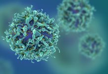 New method of quickly generating T-cells for cancer therapy generating T-cells