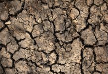 2°C rise in global temperatures could release billions of tonnes of carbon global temperatures