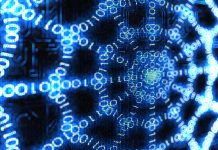 Studying spider limb regeneration to inspire new generation soft-robotics virtual spiders