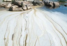 Cleaning rivers to clean the seas – part II Cleaning rivers to clean the seas