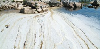 Cleaning rivers to clean the seas