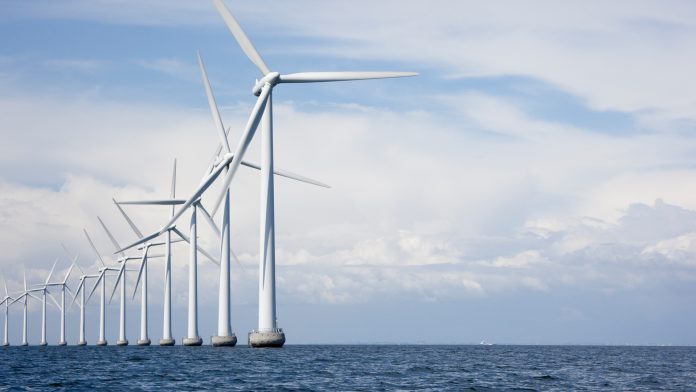 offshore wind sector