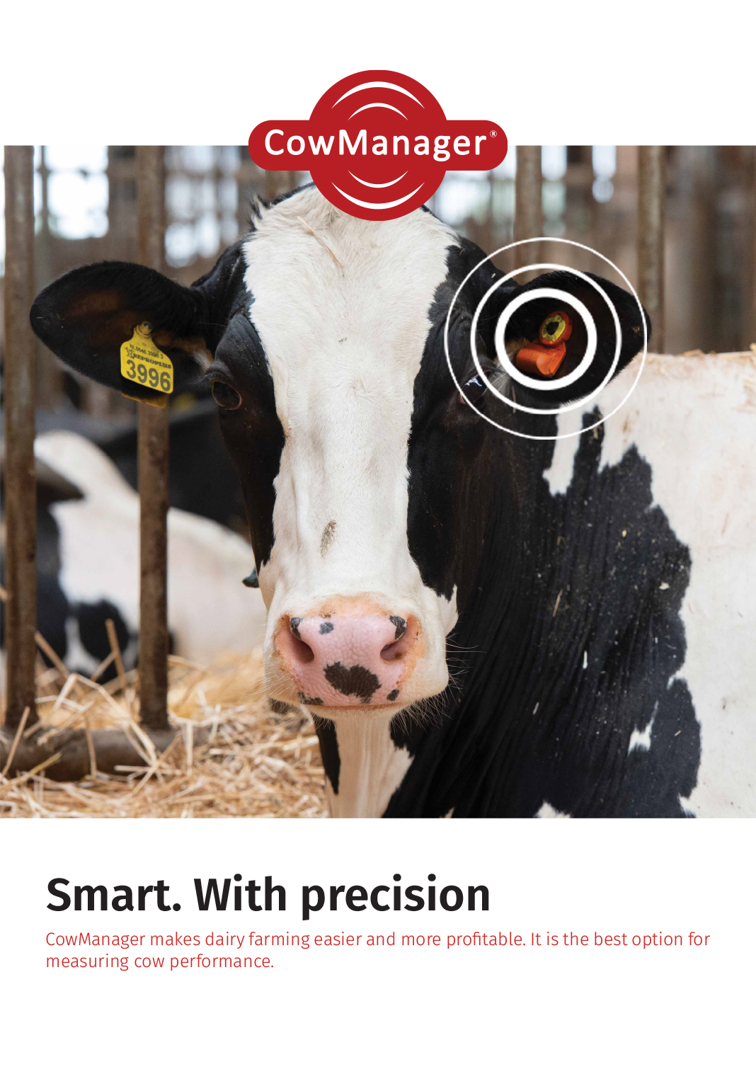 Cow monitoring technology: making dairy farming easier and more profitable