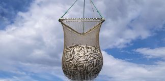 Whole genome sequencing