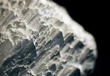 New plant nanobionic optical sensor that can detect and monitor levels of arsenic in the environment arsenic in the environment