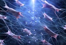 Could further research into collagen and fibrinogen lead to more efficient bioprinting and tissue engineering collagen and fibrinogen