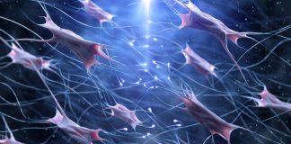 collagen and fibrinogen