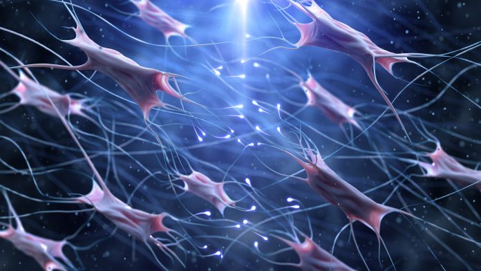 collagen and fibrinogen