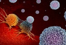 New research outlines how Rituximab interacts with the blood of healthy individuals and those with chronic lymphocytic leukaemia lymphocytic leukaemia