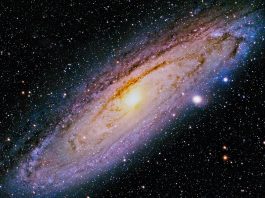 Milky Way's metal-poor stars