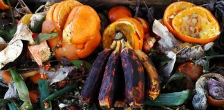 Fermented food waste