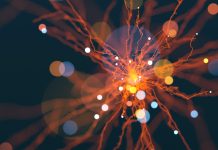 Heavy ion physics and its applications Heavy ion physics