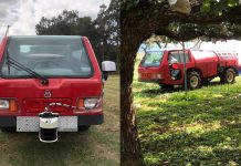 Plant sciences to tackle the challenges of climate change and food security climate change and food security