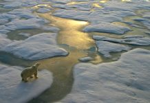 Improved simulations of arctic sea ice could help protect the environment arctic sea ice