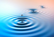 New study on the density of desalination membranes could help researchers produce clean water for farms desalination membranes