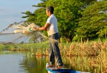 environmental monitoring initiative