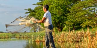 environmental monitoring initiative