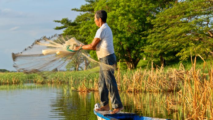 environmental monitoring initiative