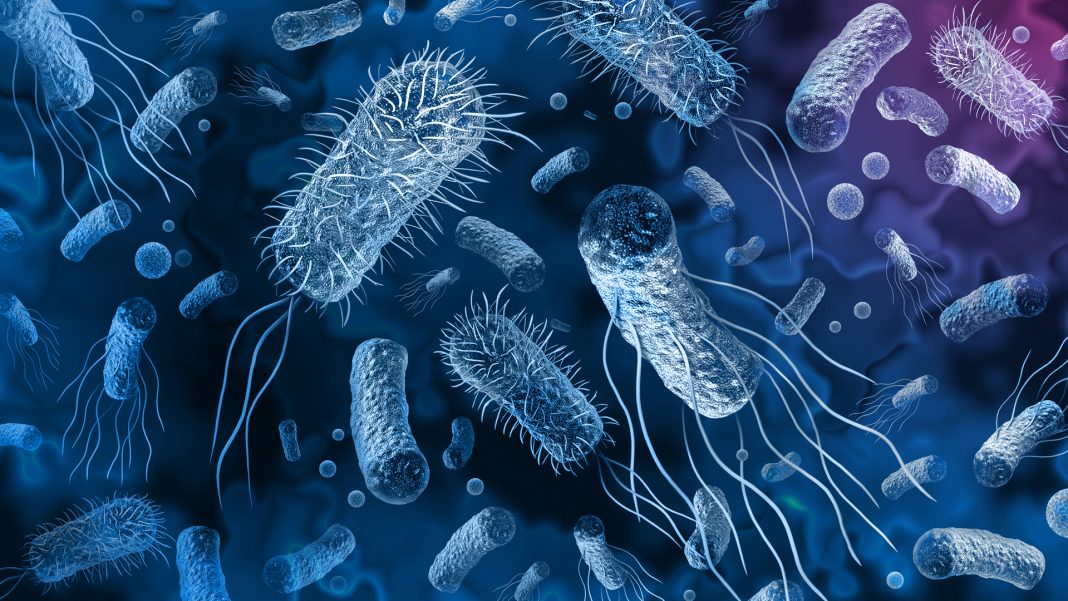 Reducing the spread of multidrugresistant bacteria