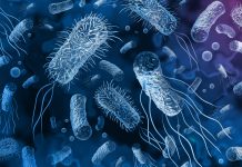 Reducing the spread of multidrug-resistant bacteria