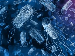Reducing the spread of multidrug-resistant bacteria