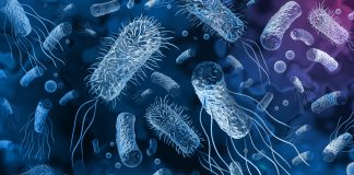Reducing the spread of multidrug-resistant bacteria