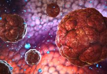 Scientists use neutron scattering experiments to understand tumour suppression neutron scattering