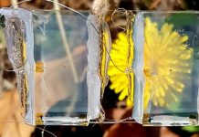 New transparent solar cell could increase the adoption of renewable energy transparent solar cell