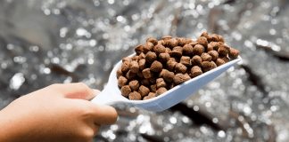 aquaculture feeding systems