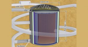 Japanese neutrino programme